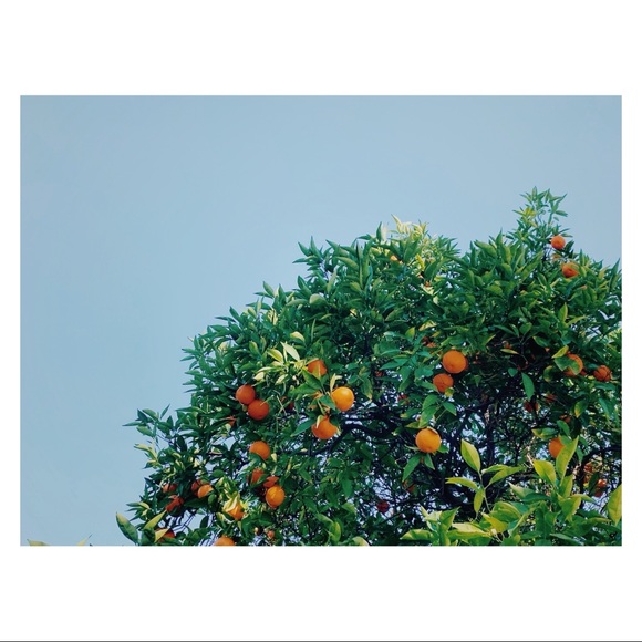 ~ hello ~ - Picture 4 of 5